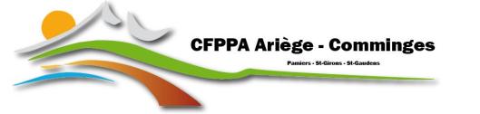 Logo CFPPA